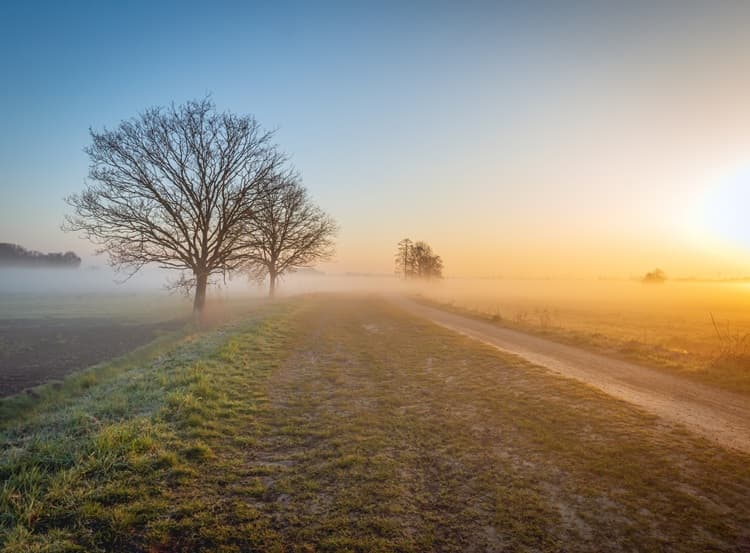 Imagem da notícia Outono não chegou mais cedo e vai começar abafado