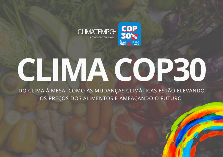 Imagem da notícia Do Clima à Mesa: Como as mudanças climáticas estão elevando os preços dos alimentos?