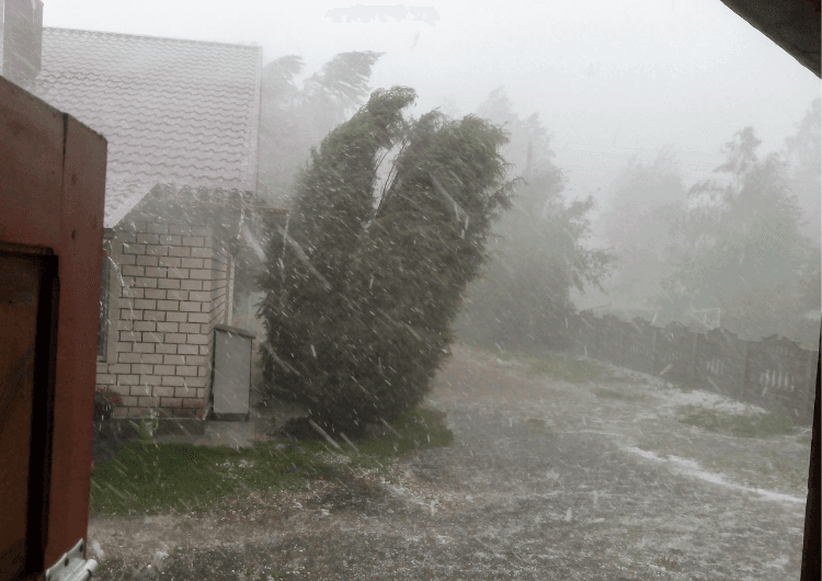 Imagem da notícia Radar Meteorológico de Porto Alegre detecta tempestade em Erechim a mais de 250 km de distância