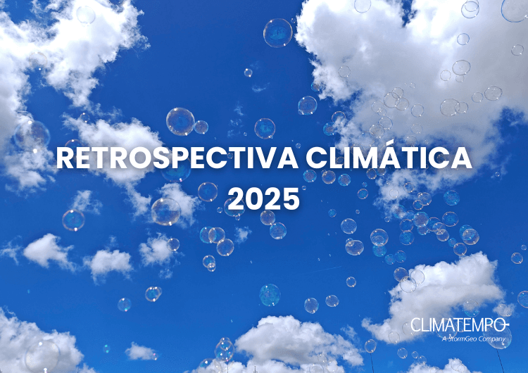 Imagem 2025: mais um ano em que o clima mostrou sua força no Brasil