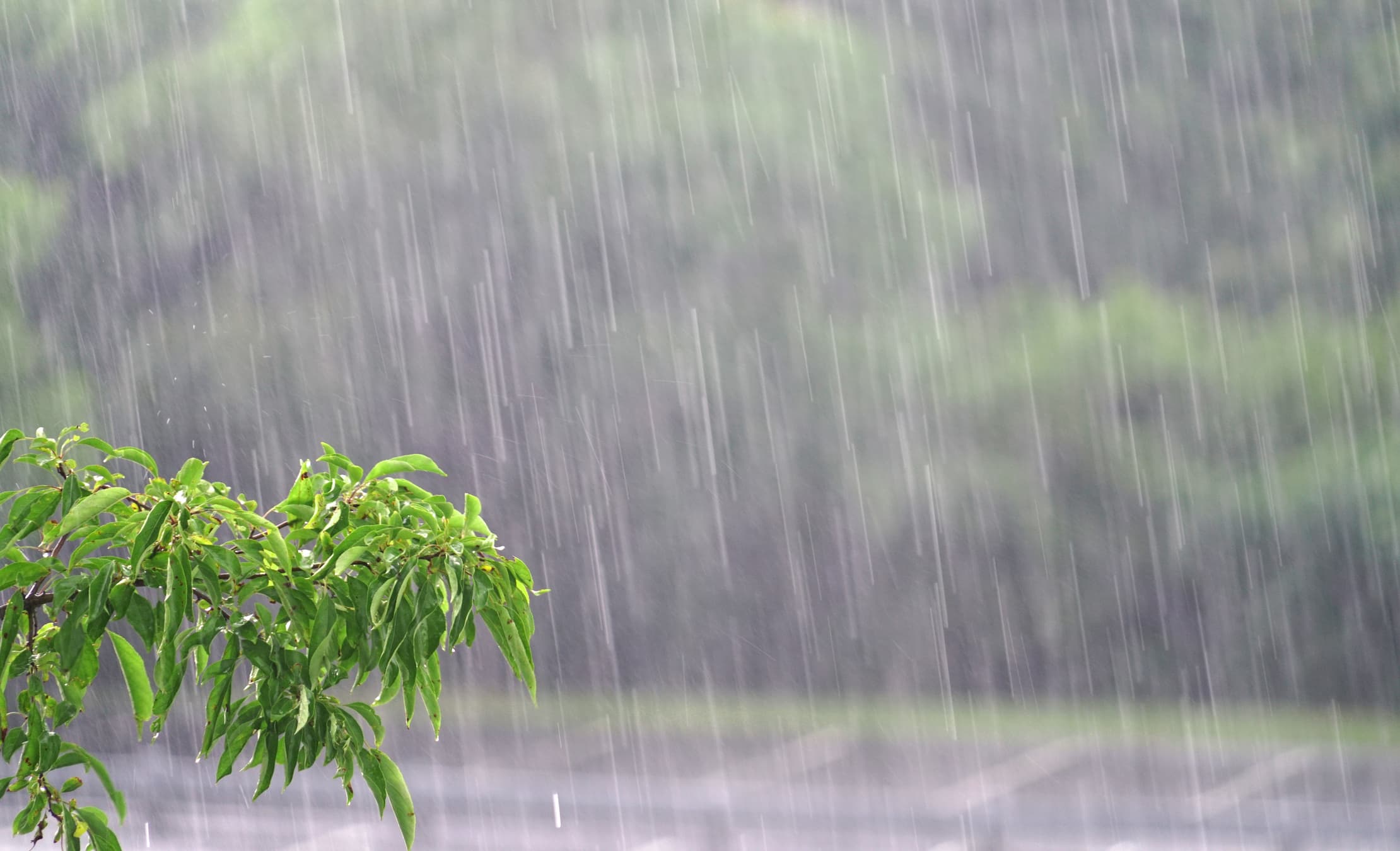 Imagem de destaque da notícia Frentes frias e baixa pressão trazem chuva para SU, SE e CO nos próximos dias