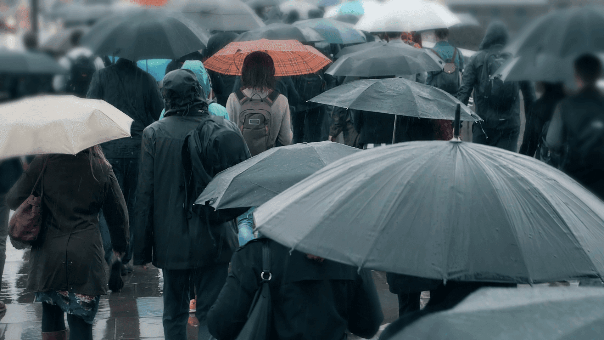 Sul do Brasil terá semana de temporais e queda nas temperaturas Sul do Brasil terá semana de temporais e queda nas temperaturas
