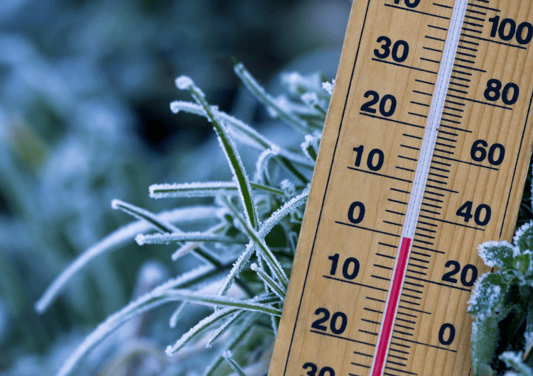 Onda de frio causa recordes de baixa temperatura em capitais brasileiras