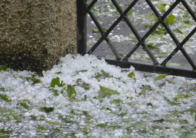 Imagem da notícia Temporais deixam mais de 170 mm no Sul; veja a previsão para os próximos dias