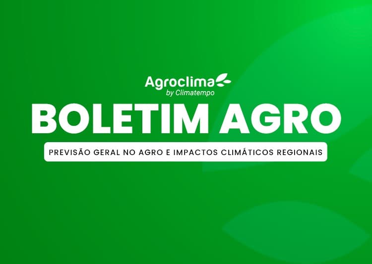 Imagem de destaque da notícia Previsão Agro: chuvas avançam pelo Brasil e favorecem o milho segunda safra, mas impactam a colheita da soja