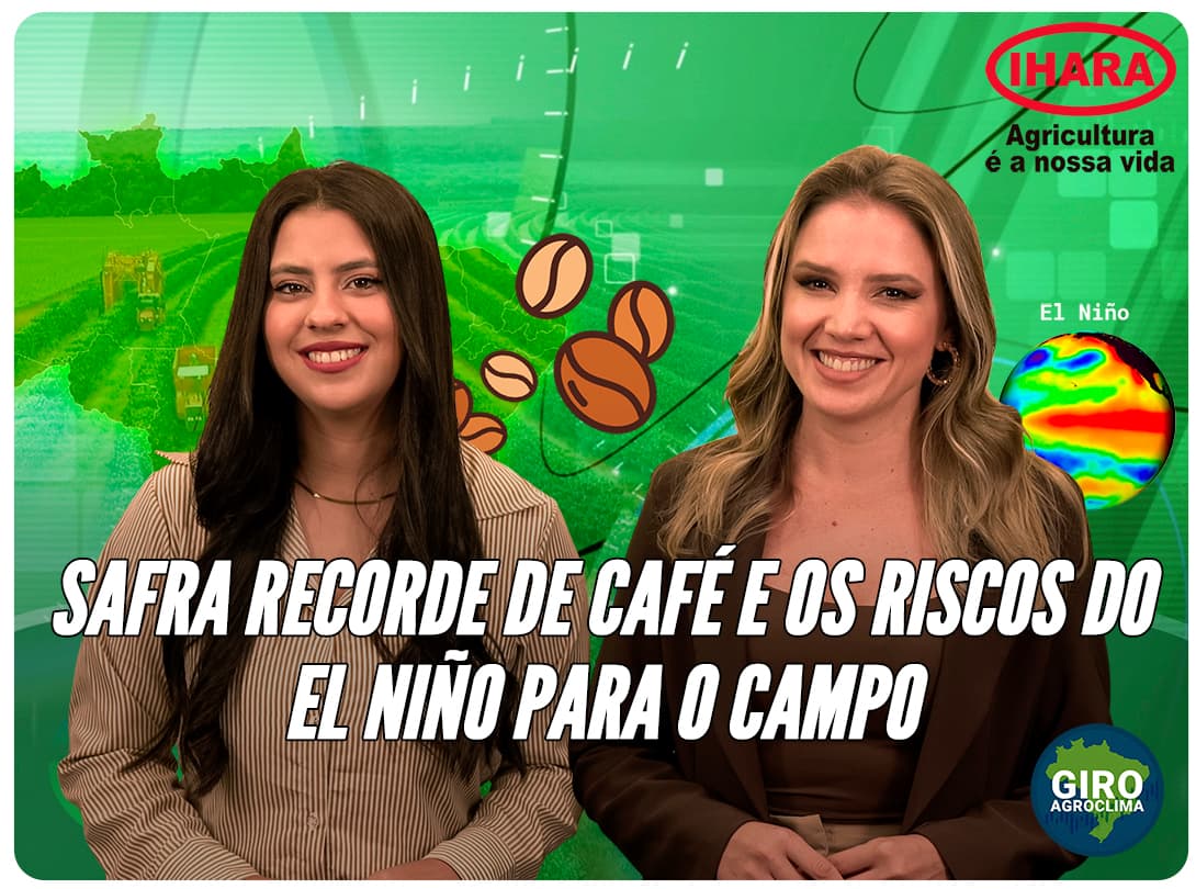 Imagem de destaque da notícia Giro Agroclima: Safra de café 2026: O que esperar da colheita e dos impactos do clima
