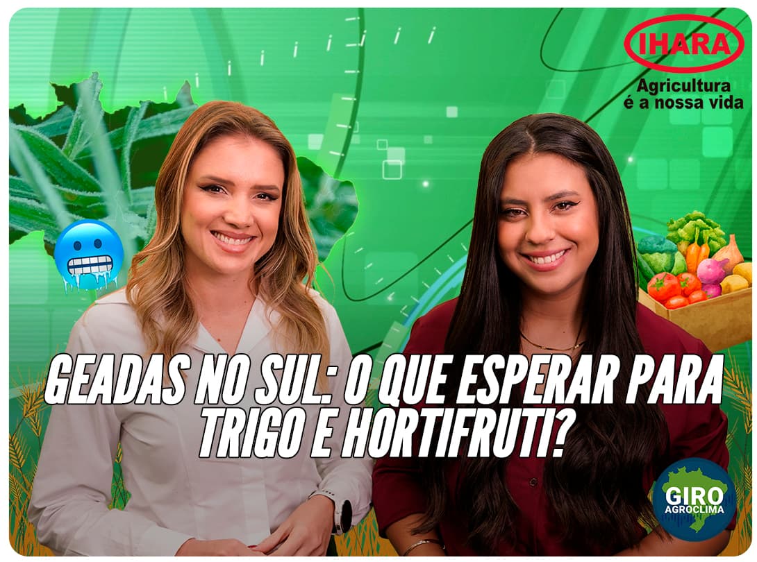Imagem de destaque da notícia Giro Agroclima: geadas, trigo e hortifruti: como o clima deve evoluir neste inverno